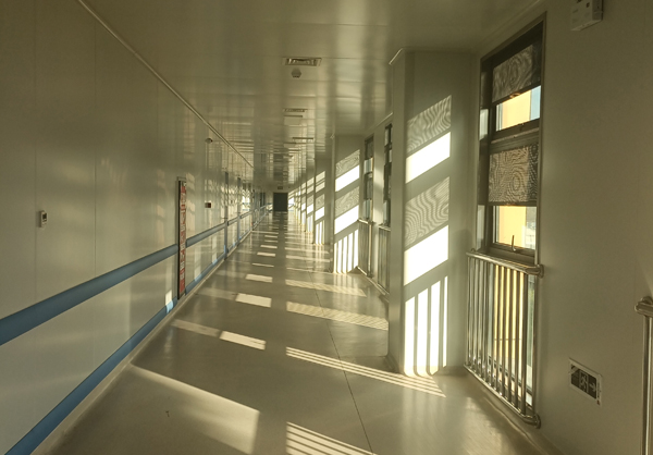 大鸡巴肏我小屁眼在线观看